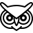 Owl in outline style