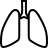 Pulmonology in outline style